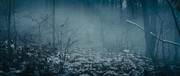 кадр из фильма Всевидящее око (The Pale Blue Eye) - 5