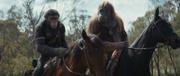 кадр из фильма Планета обезьян: Новое царство (Kingdom of the Planet of the Apes) - 4