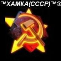 Xam large