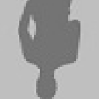 Ansl large