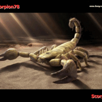 Scorpion78 large