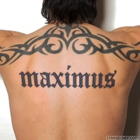 Maximus372 large