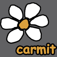 Carmit large