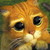 Zik22 thumb