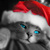 max_rain