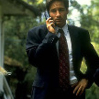 Davidduchovny large