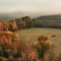 Fartovuj large