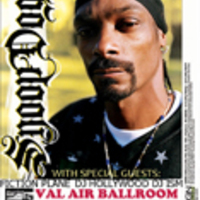 Dimadogg large