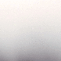 Vasili596300 large