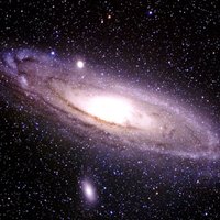 Zaconserv large