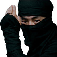 Ninja111 large