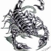 Scorpion1 large