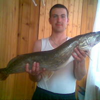 Dellpactrayd large