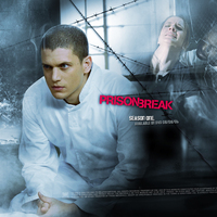 Prison break large