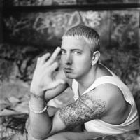Fackrap large