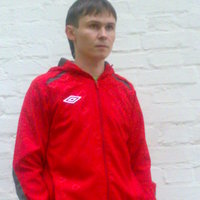 Vasik5430lebedev large