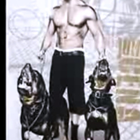 Amstafpit large